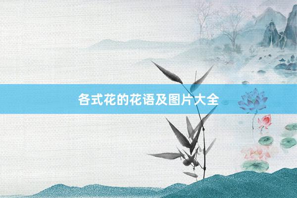 各式花的花语及图片大全